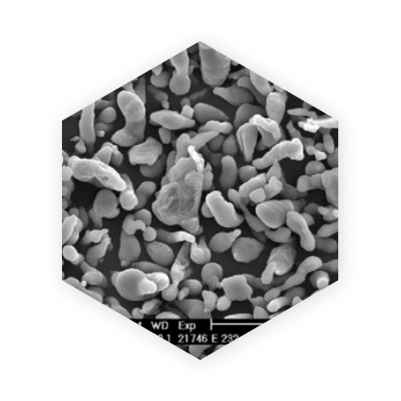 Aluminum Powders